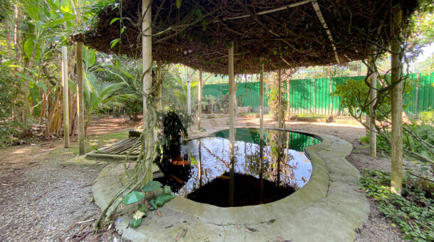 Jardim - Mansão de Alto Padrão no condominio Núcleo Mansões